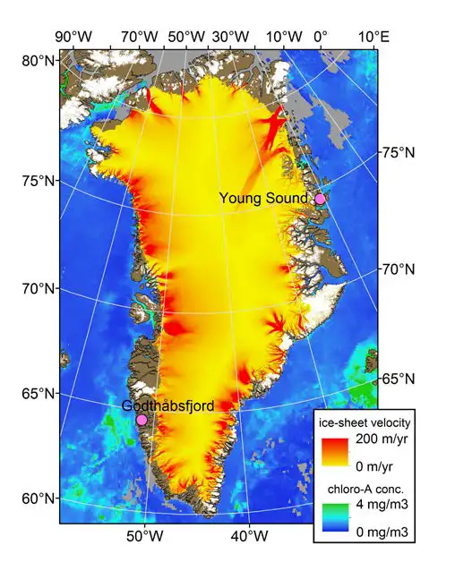 This project will focus on two contrasting Greenland fjord systems (Godth&aring;bsfjord and Young Sound) indicated as dots on the map, alongside with satellite-derived spatial trends in primary production (from the photosynthetic pigment tracer chlorophyll a), and ice sheet velocity.
